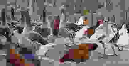img-cap-14